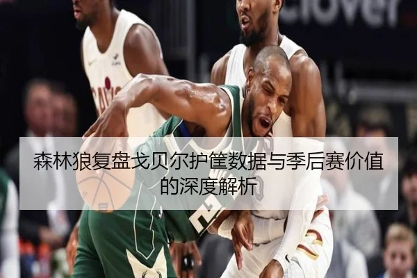 森林狼复盘戈贝尔护筐数据与季后赛价值的深度解析