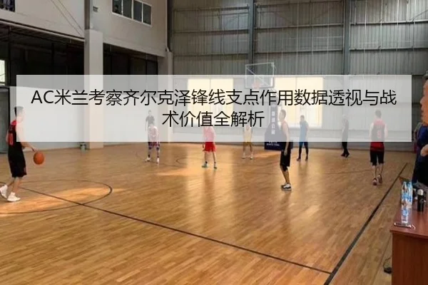 AC米兰考察齐尔克泽锋线支点作用数据透视与战术价值全解析